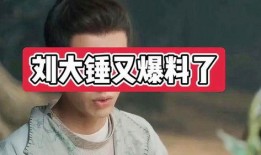 刘大锤爆料辛巴视频大全,精彩瞬间一网打尽