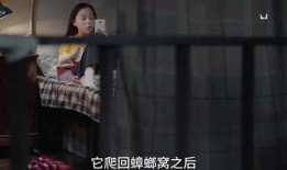 爆料娱乐姐姐视频,笑料百出，欢乐无限